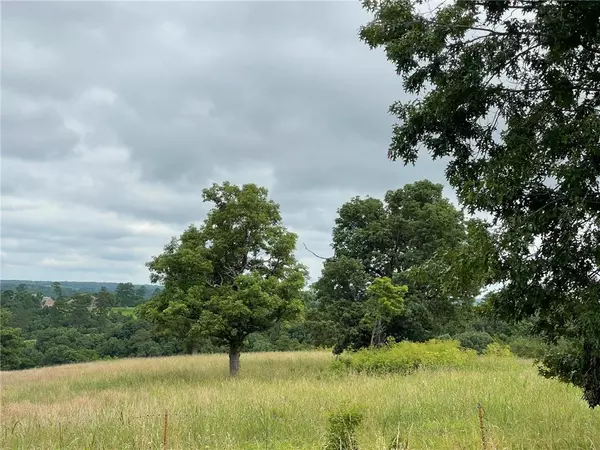 Pineville, MO 64854,16.7 AC Turkey Ridge Ct