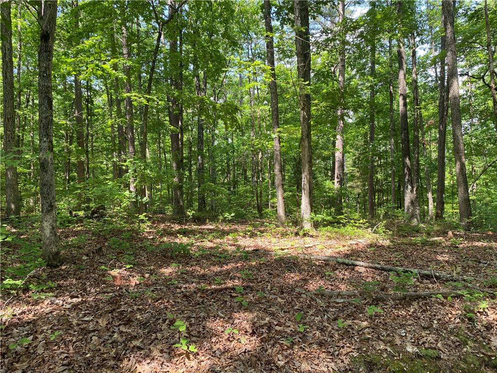 Yellville, AR 72687,001-03695-000 Woodhill Ln