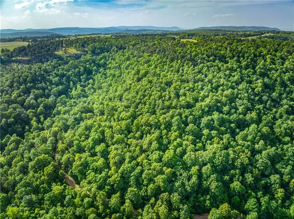 Witts Springs, AR 72686,213 Scenic