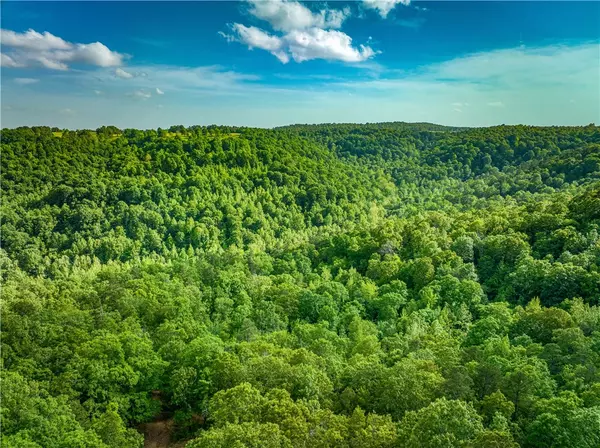 Witts Springs, AR 72686,213 Scenic