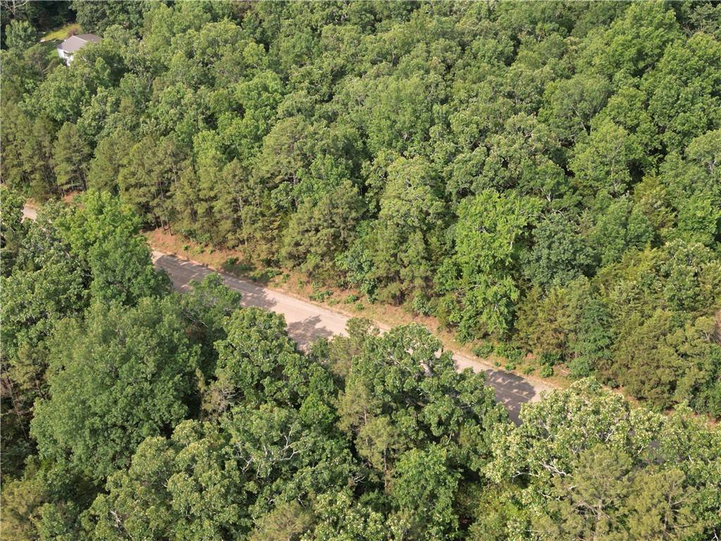 Lot 19 Sunny Springs Dr, Dover, AR 72837