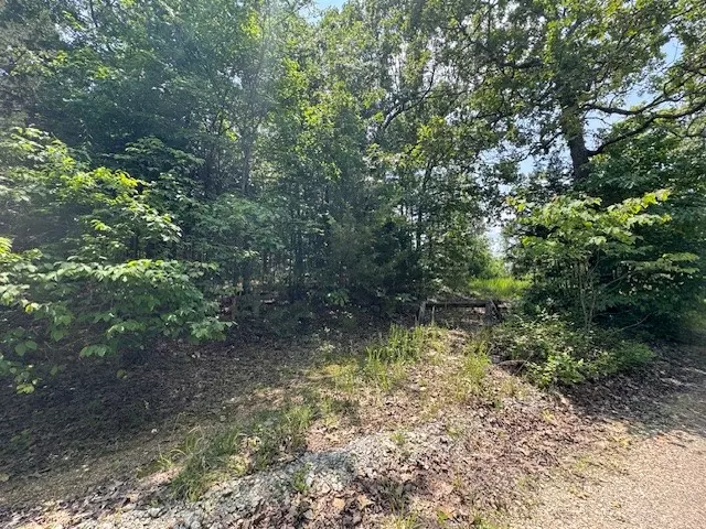 46 Worthen Dr, Mountain Home, AR 72653