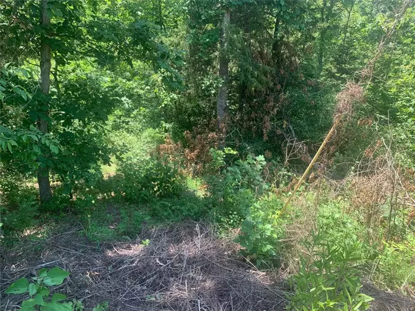 Bella Vista, AR 72714,Digby