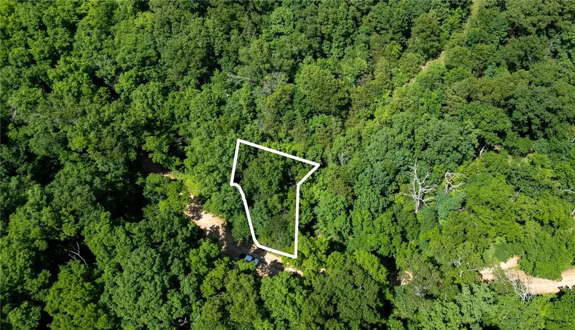 Bella Vista, AR 72714,Wark Ln