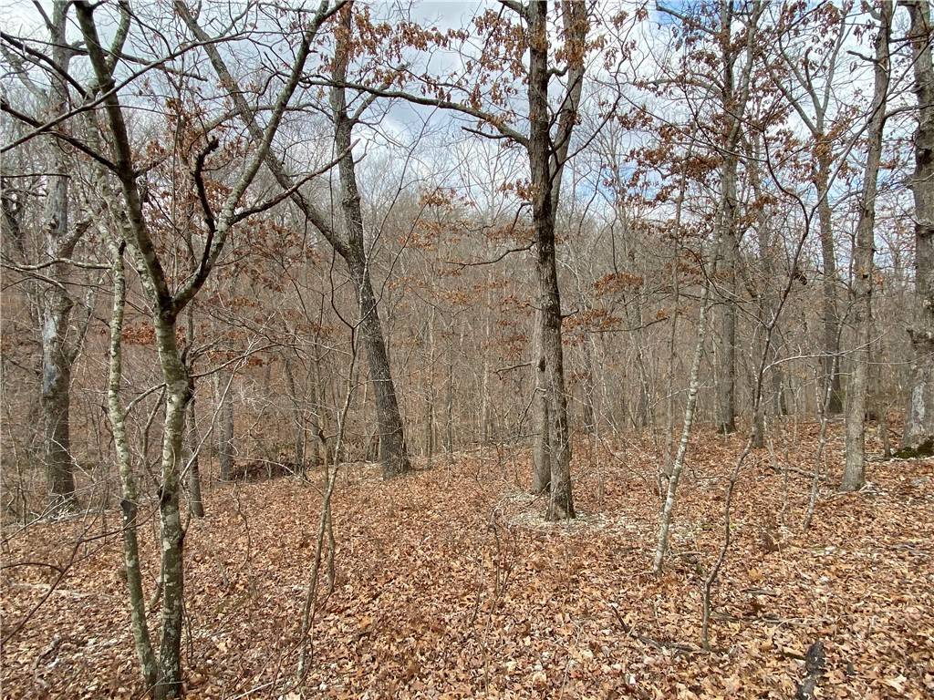 Bella Vista, AR 72714,Lot 28 of Block 10 Leicester Dr
