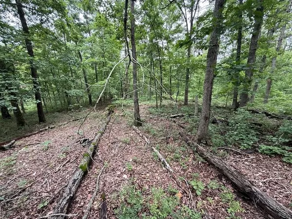 Bella Vista, AR 72715,Rori Ln