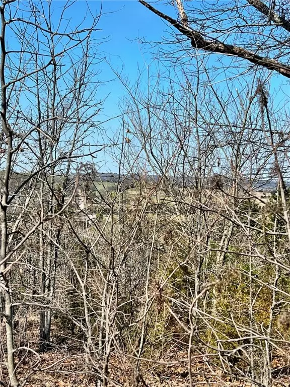 Lead Hill, AR 72601,TBD Eagle View Ct