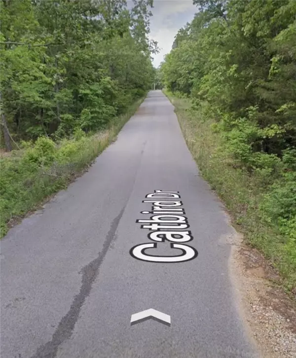 Horseshoe Bend, AR 72512,602 Catbird Cir