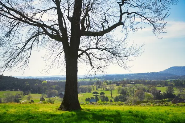 Eureka Springs, AR 72632,40 River Run Rd