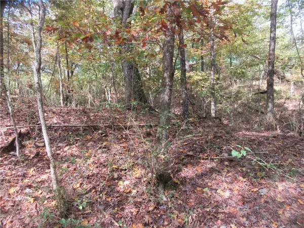 Eureka Springs, AR 72632,Paxos St