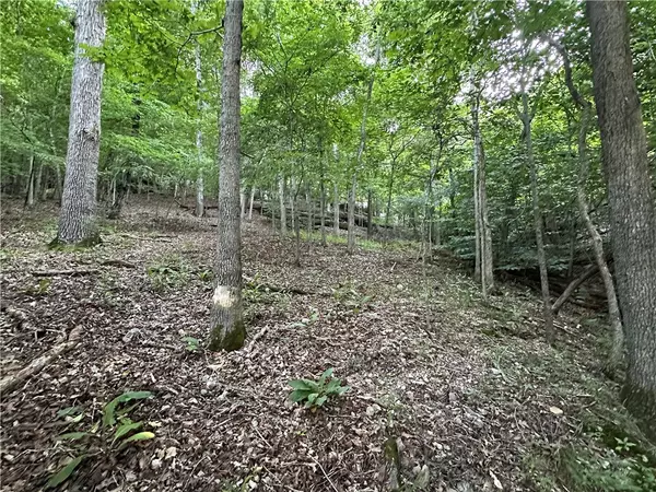 Eureka Springs, AR 72632,TBD CR 1524