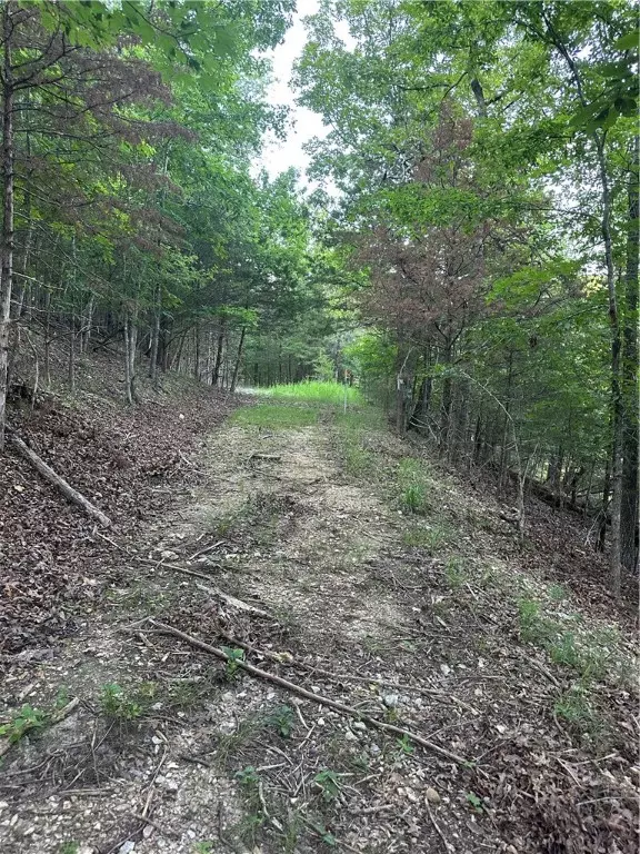 Eureka Springs, AR 72632,TBD CR 1524
