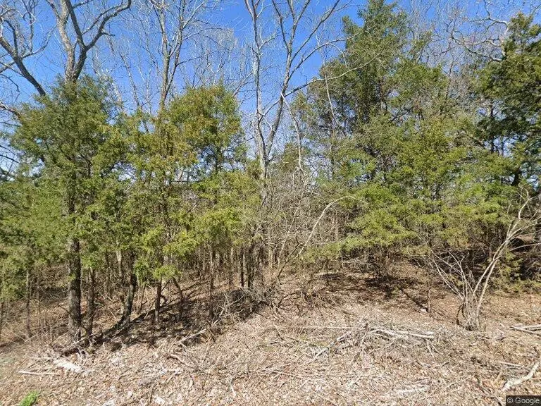 Holiday Island, AR 72631,5 Suntop Ln