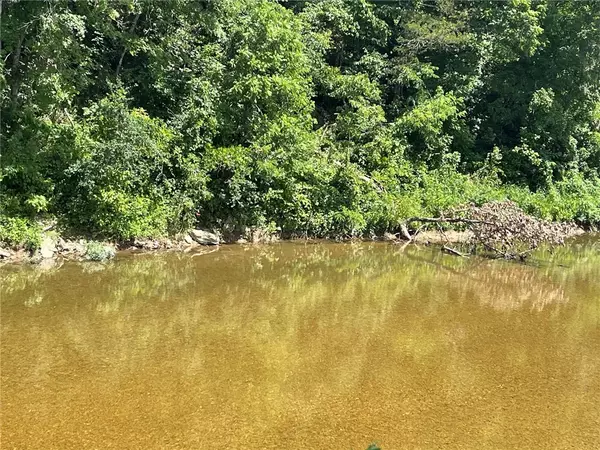 Berryville, AR 72616,Stone River Ln