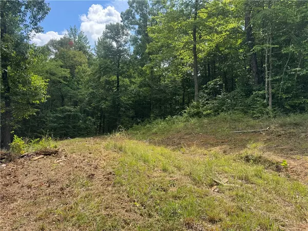 Jasper, AR 72641,TBD AR 7 South