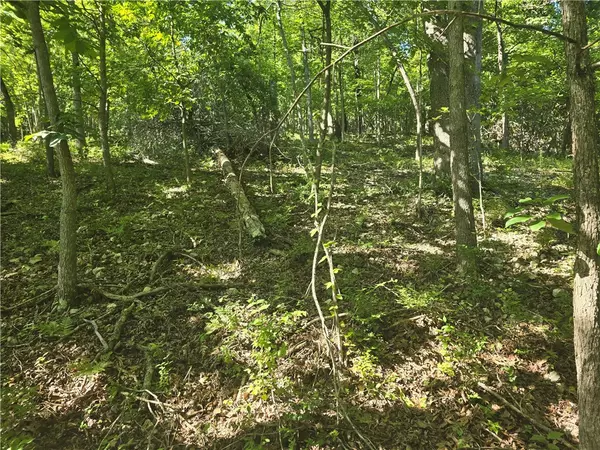 Rogers, AR 72758,Lot 5 Esculapia Hollow Rd