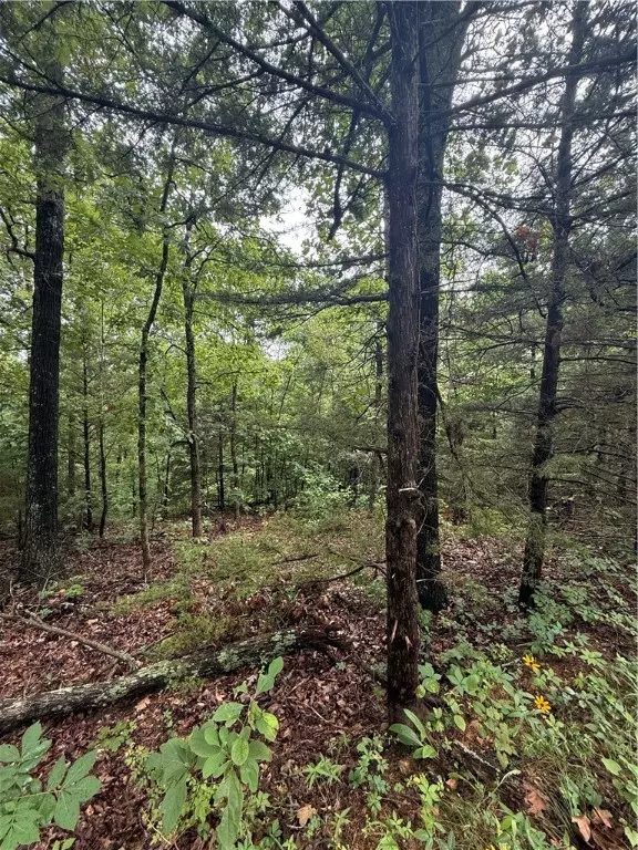 Bella Vista, AR 72715,Lot 7, Block 5 Banff Dr