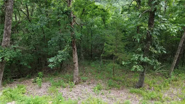 Holiday Island, AR 72631,Lot 10, Block 10 Haddock Ln