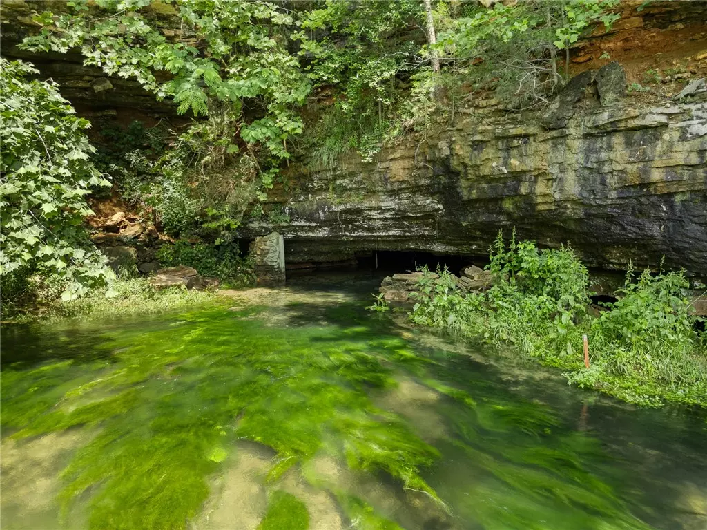 Harrison, AR 72601,350 Devitos Loop