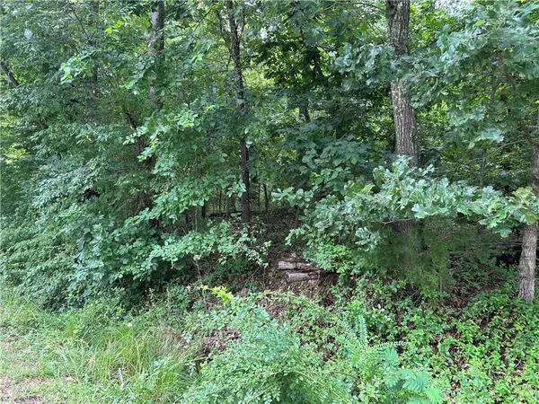Bella Vista, AR 72715,Walney Dr