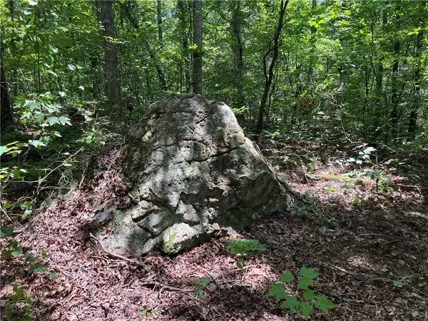 Leslie, AR 72645,704 Old Highway 66
