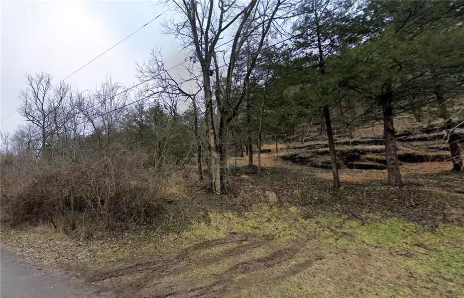 Lot 3 Mill Hollow Rd, Eureka Springs, AR 72632