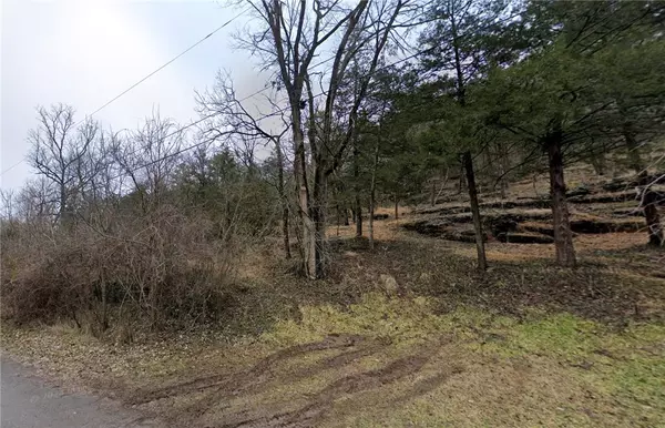 Eureka Springs, AR 72632,Lot 3 Mill Hollow Rd