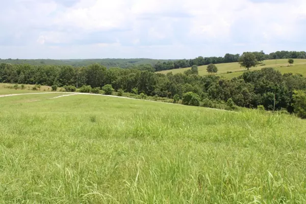 Harrison, AR 72601,Zinc Rd