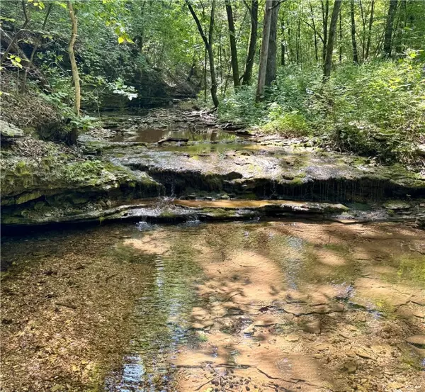 Powell, MO 65730,340 Robin Ln