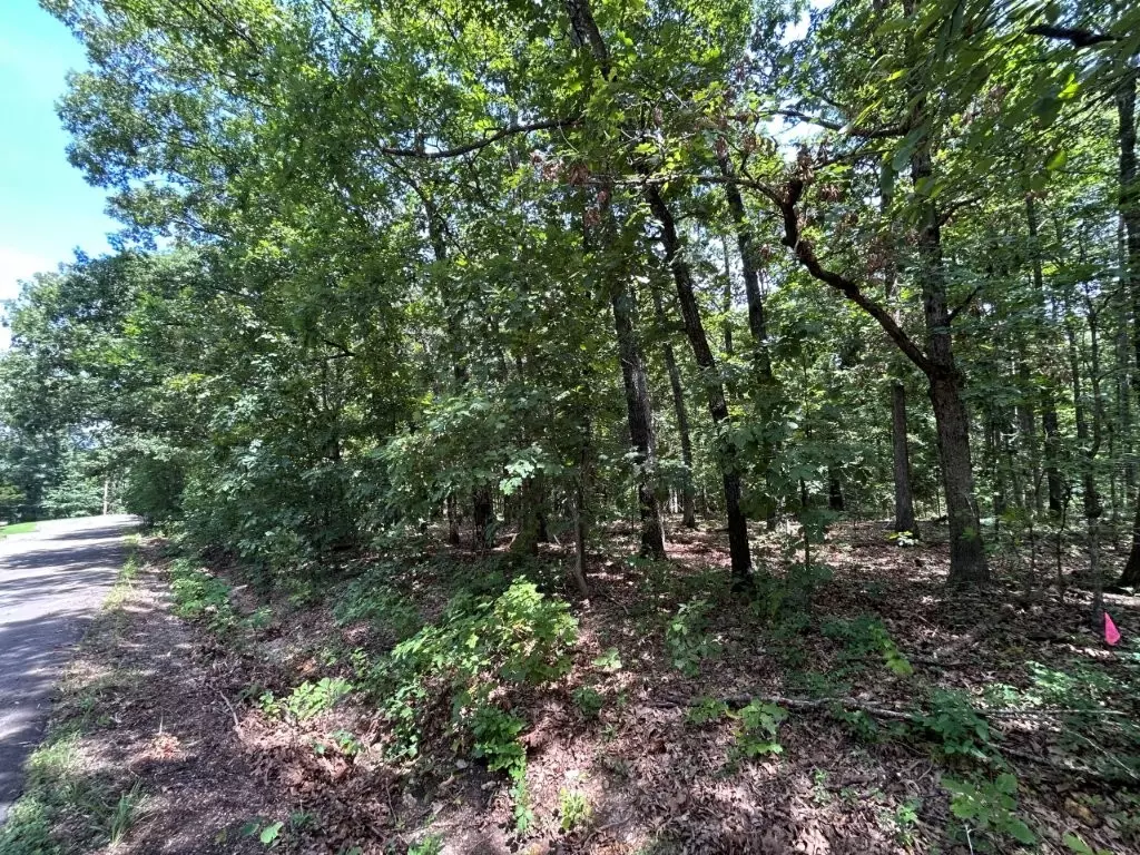 Bella Vista, AR 72714,Lot 36 & 37 Beccles Ln
