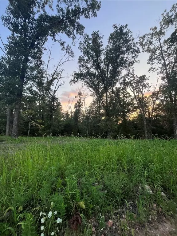 Pineville, MO 64856,Coopers Rd