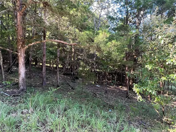 Diamond City, AR 72644,Larchwood Dr