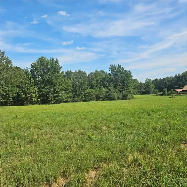 Dardanelle, AR 72834,BARK Ln