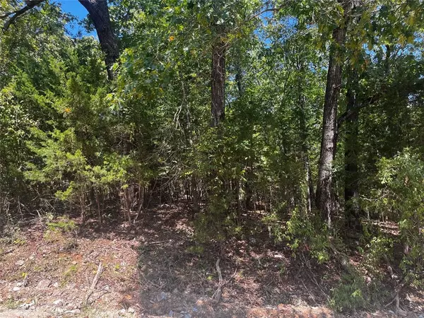 Lead Hill, AR 72644,Park Ave