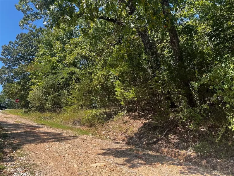 Park Ave, Lead Hill, AR 72644