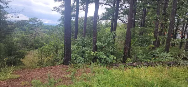 Holiday Island, AR 72631,Rancho Vista Ln