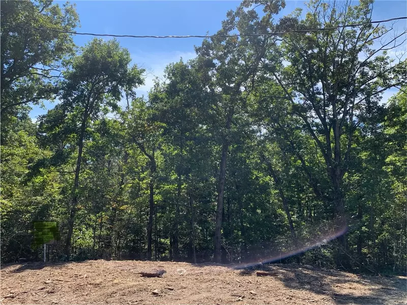 (Lot 14) Dinton Ln, Bella Vista, AR 72714