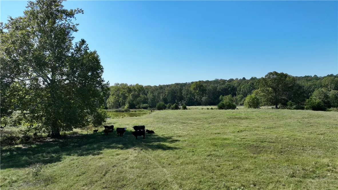 Atkins, AR 72823,1230 Granny Hollar Rd