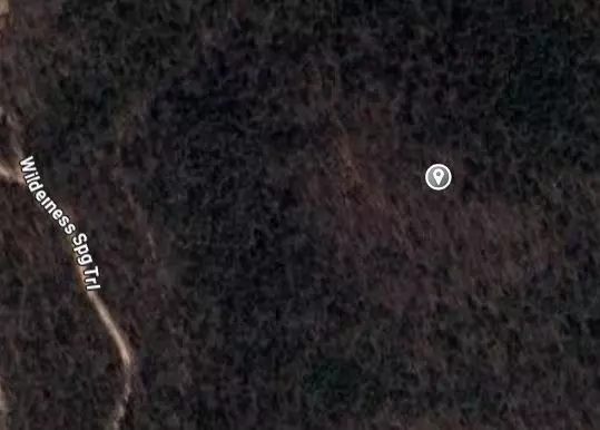 Lead Hill, AR 72644,Wilderness Spring Trl