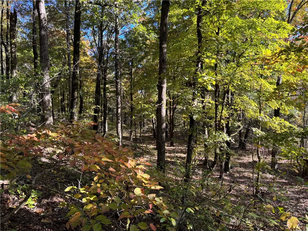 Elkins, AR 72727,001 Madison 5221