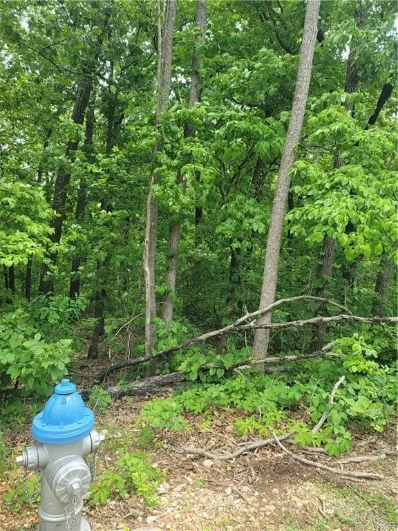 Bella Vista, AR 72714,Lot 45 York Dr