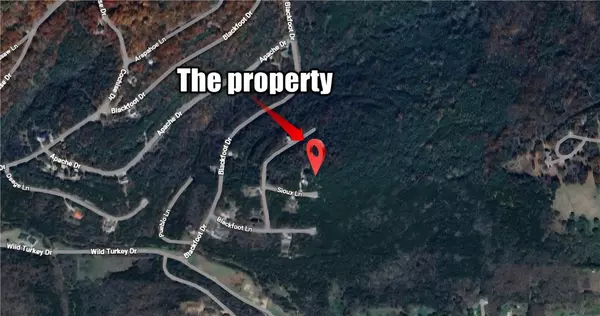 Holiday Island, AR 72631,9 Sioux Ln