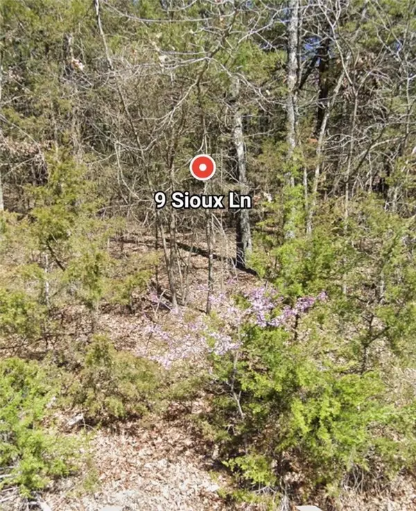 Holiday Island, AR 72631,9 Sioux Ln