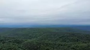 Oark, 72852,Address not disclosed