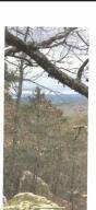 Nicholas Ln, Delaware, AR 72835