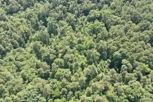 Atkins, 72832,Address not disclosed