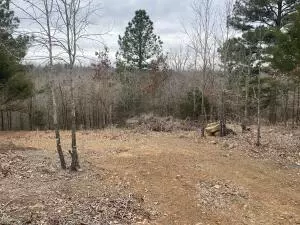 Other Ar, 72173,Address not disclosed