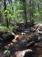 Delaware, 72835,Address not disclosed