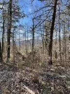 Other Ar, 72839,Address not disclosed