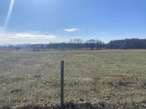 Atkins, 72823,Address not disclosed